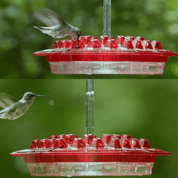 Ant Proof Hummingbird Feeder Outdoor Hanging Perch | Filindra