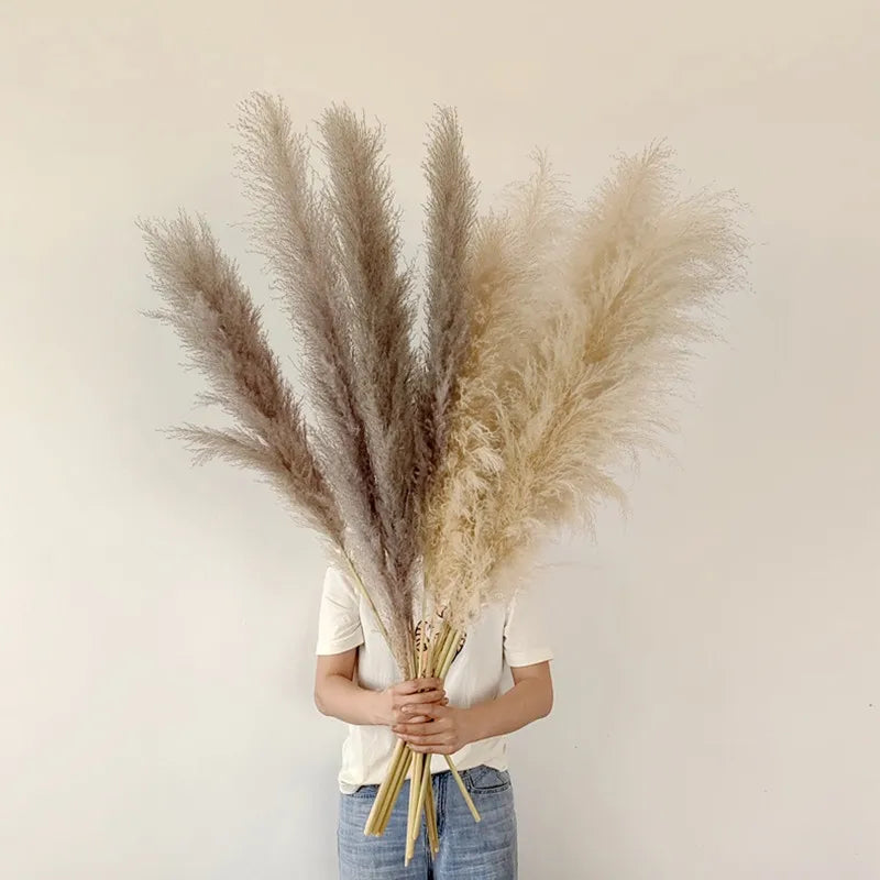 Sylara Dried Pampas Grass — 110–120 cm Tall Stems