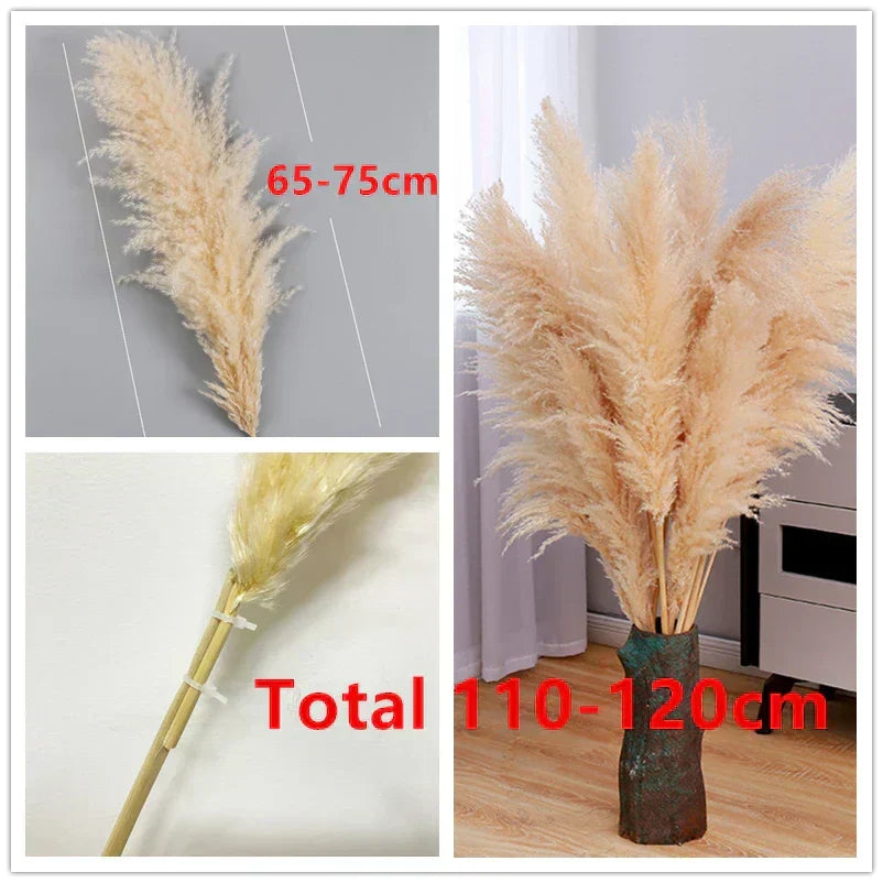 Sylara Dried Pampas Grass — 110–120 cm Tall Stems