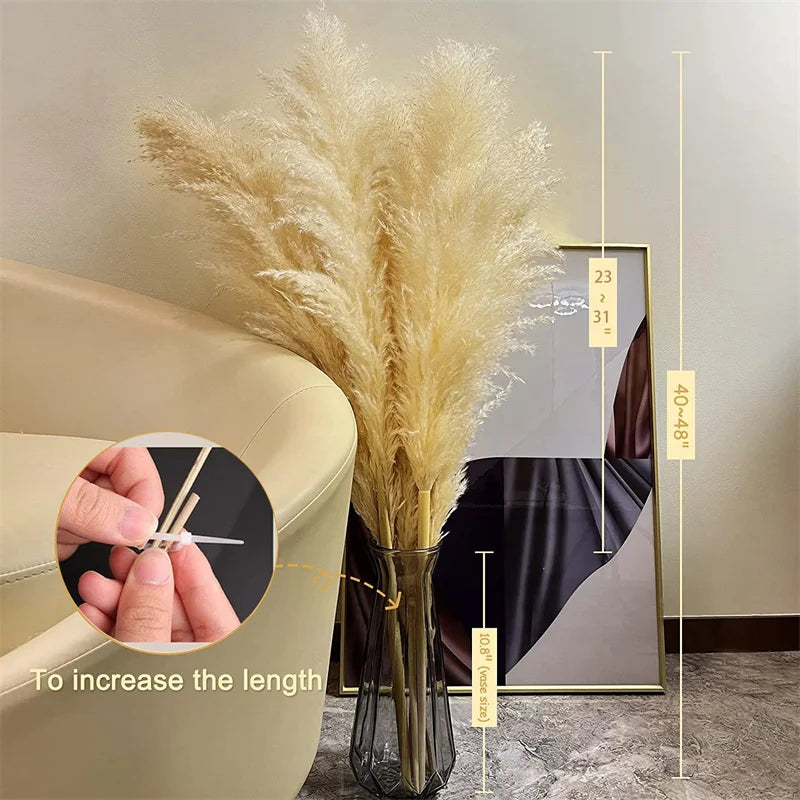 Sylara Dried Pampas Grass — 110–120 cm Tall Stems