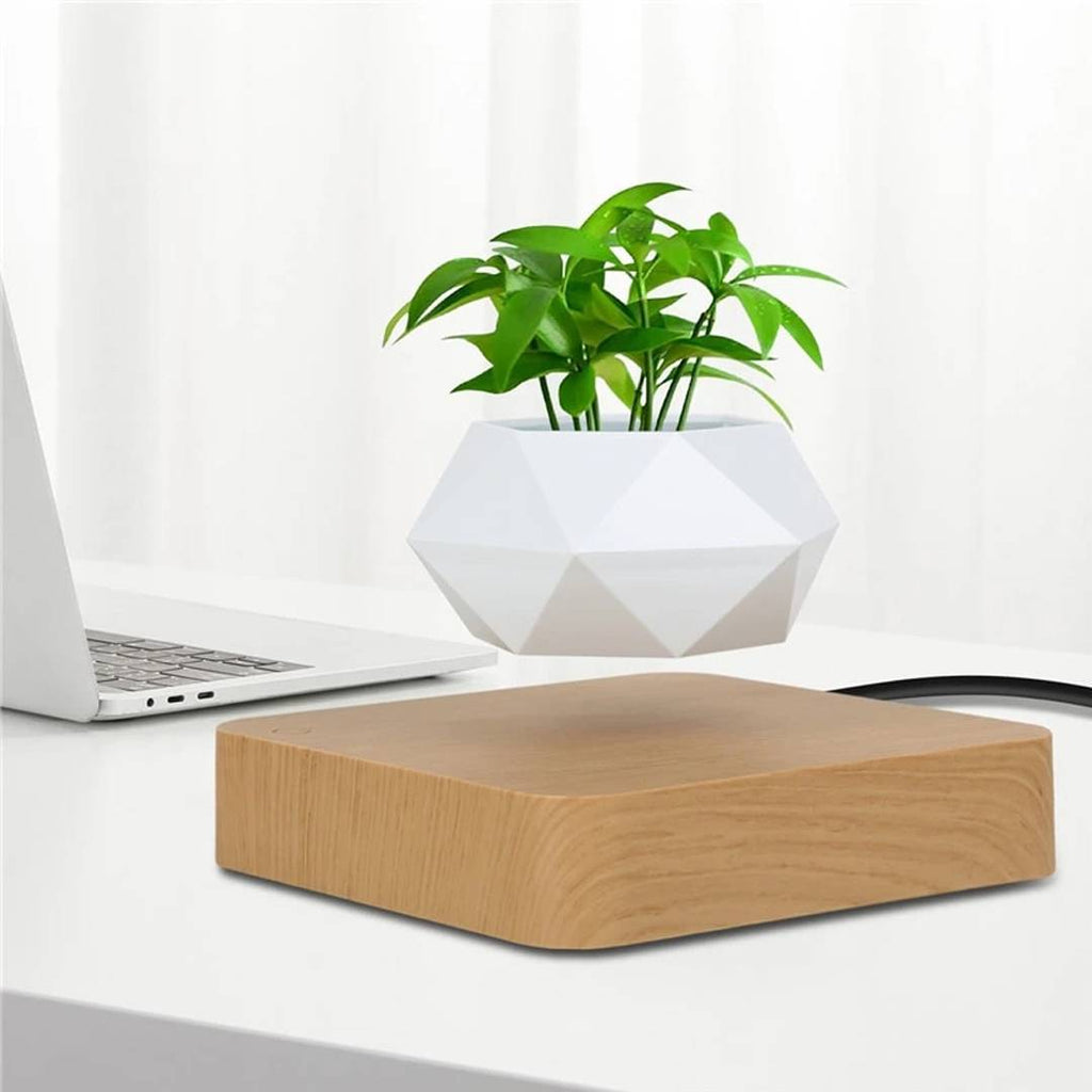 Lewitująca doniczka bonsai — magnetyczna, obracająca się o 360° donica