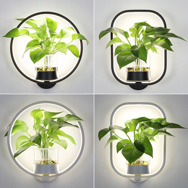 VerdantGlow Wall Light Planter Glass Plant Vessel Gallery Decor