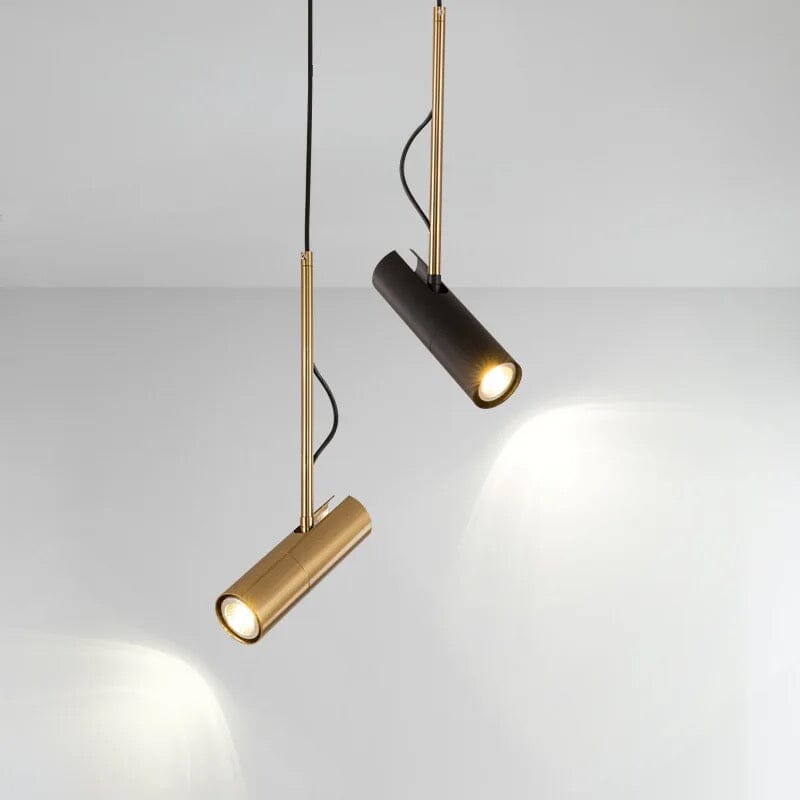 Lumora Artist Spotlight Rotating Pendant Light For Contemporary Interiors