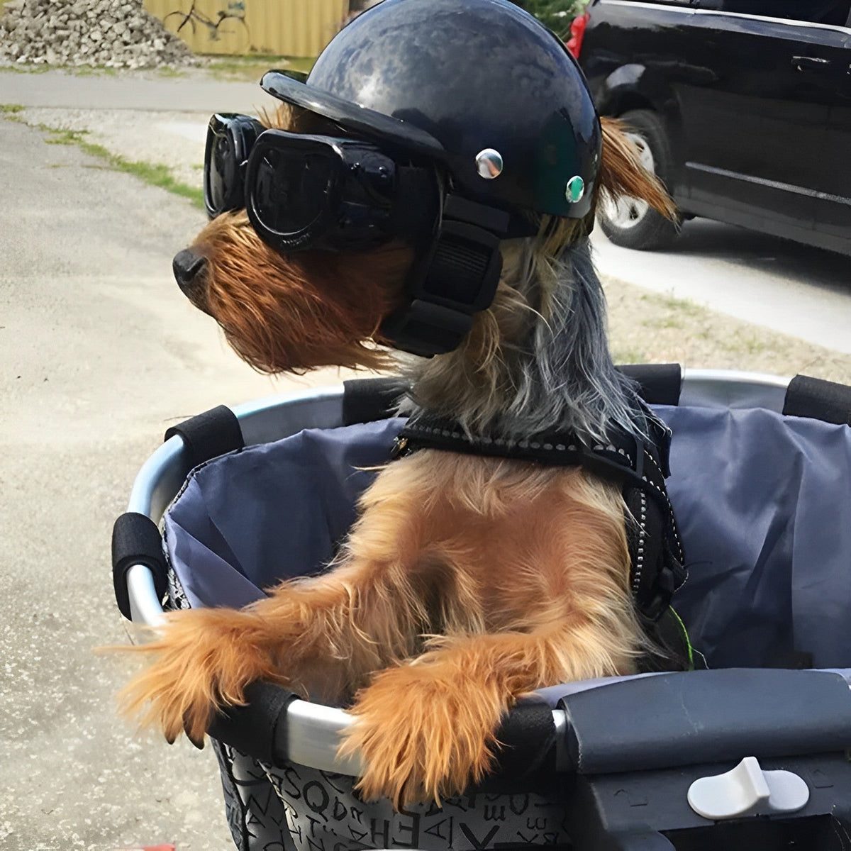 LUNA 犬用バイクヘルメット＆ゴーグル - 安全でスタイリッシュ