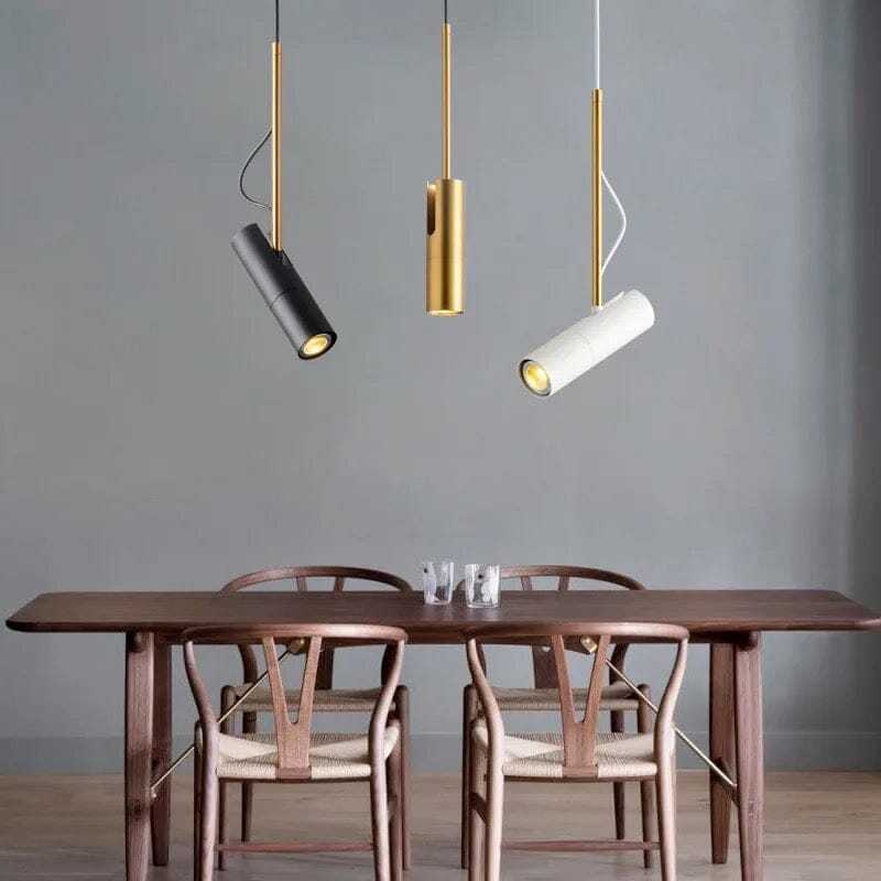 Lumora Artist Spotlight Rotating Pendant Light For Contemporary Interiors