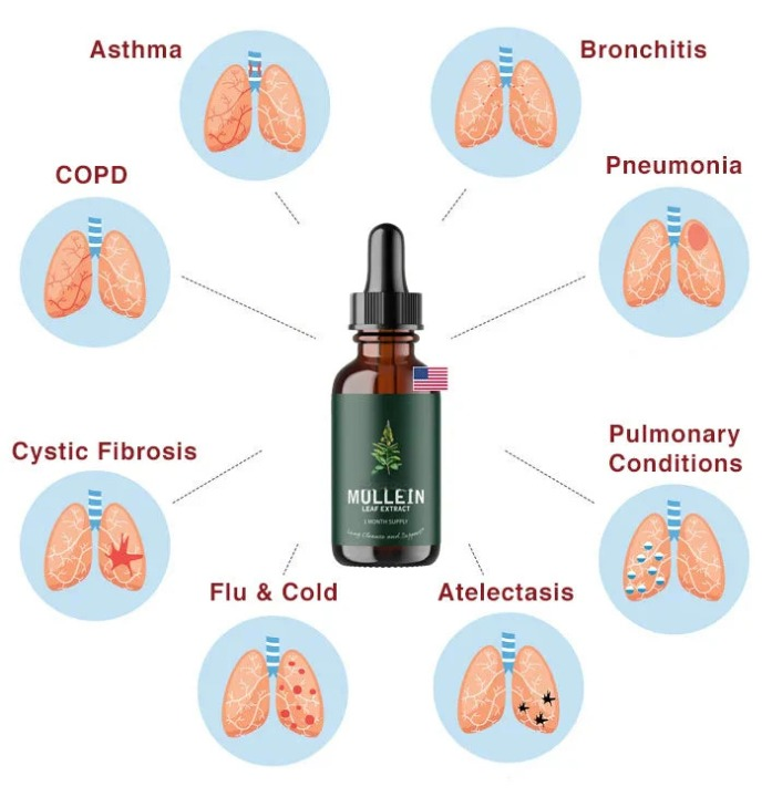 Natural Mullein Chlorophyll Daily Breathing Support Blend