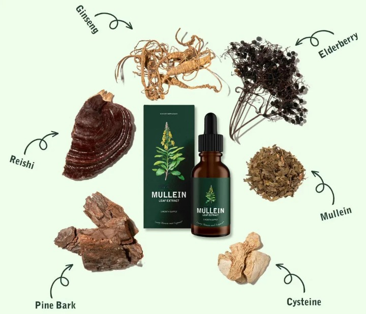 Natural Mullein Chlorophyll Daily Breathing Support Blend