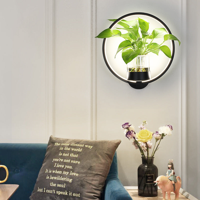 VerdantGlow Wall Light Planter Glass Plant Vessel Gallery Decor