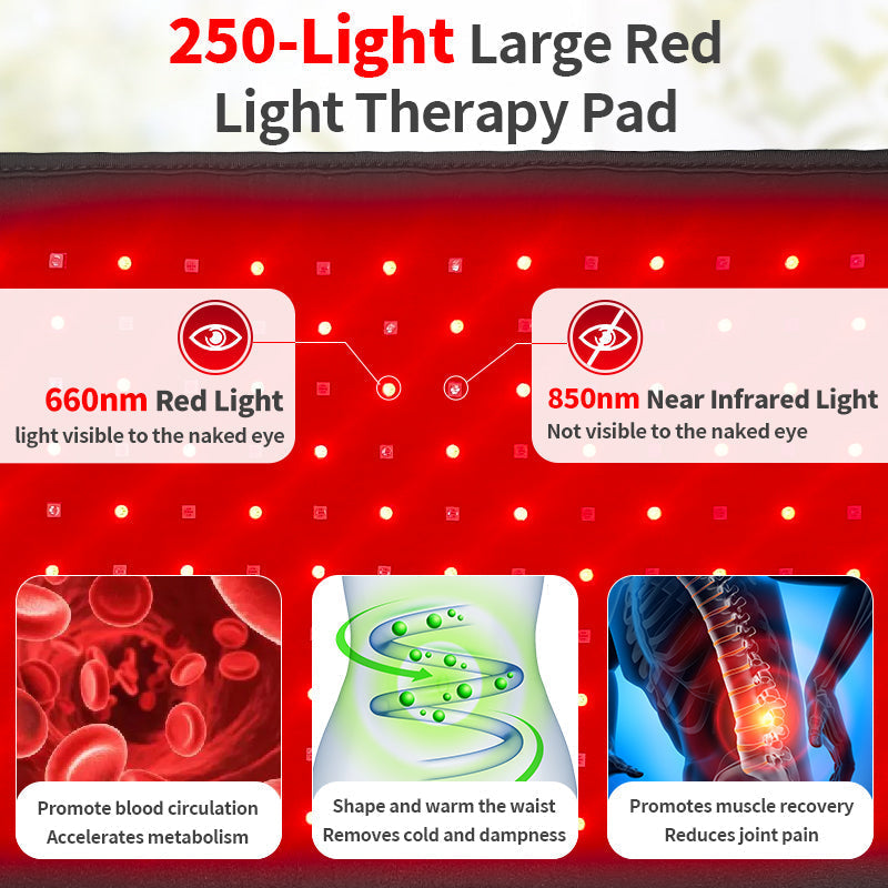 Red and Near Infrared Light Therapy Pad — 250 LEDs, 30W, Plug-In