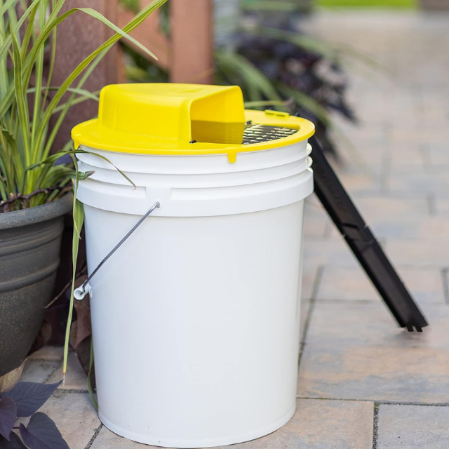 Reusable Humane Auto Reset Bucket Cover Mouse Trap | Filindra