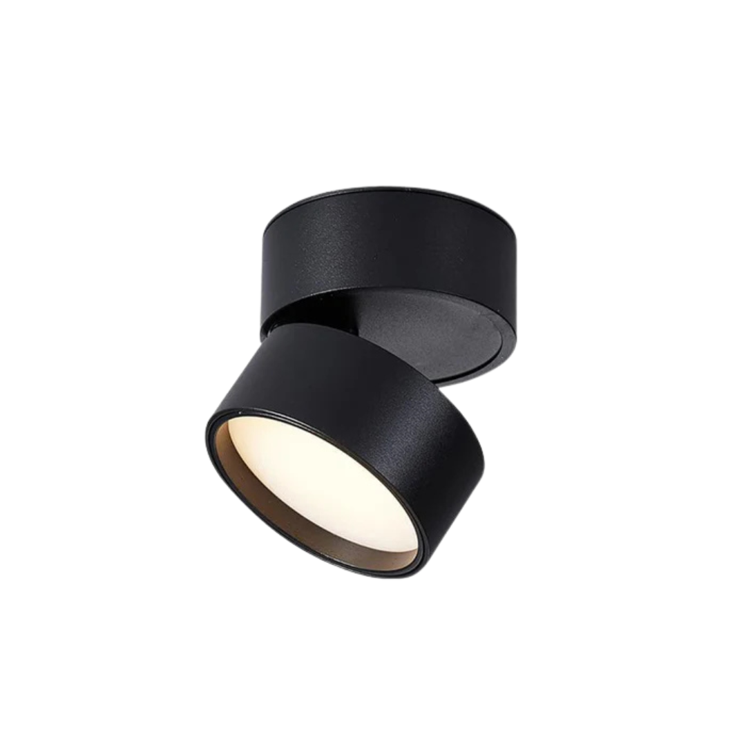 Aurelo Decken-LED-Leuchte mit verstellbarem drehbarem Kopf für Wohnzimmer und Flure
