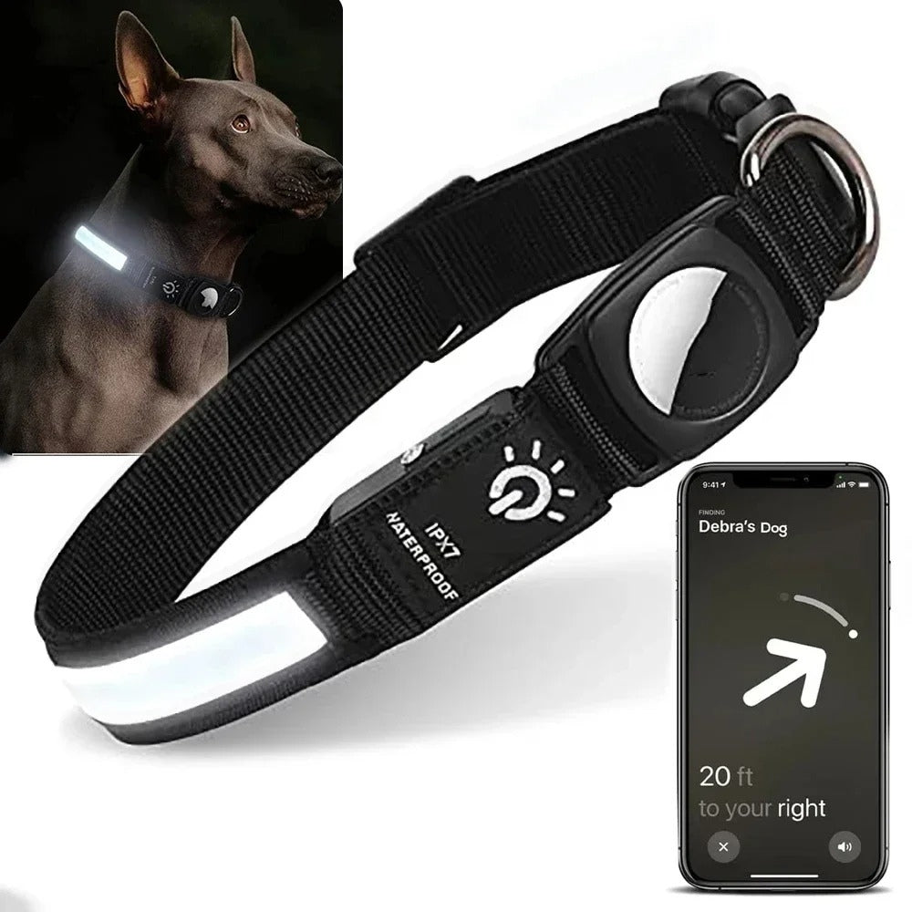 Collier pour chien LumaPaw à LED, étanche, avec logement pour traceur