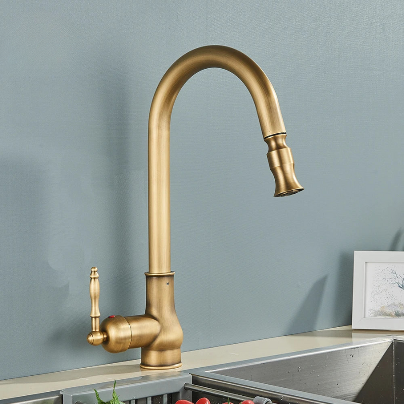 AstraNova Swivel Spout Faucet — Antique Brass Finish, Black Accent