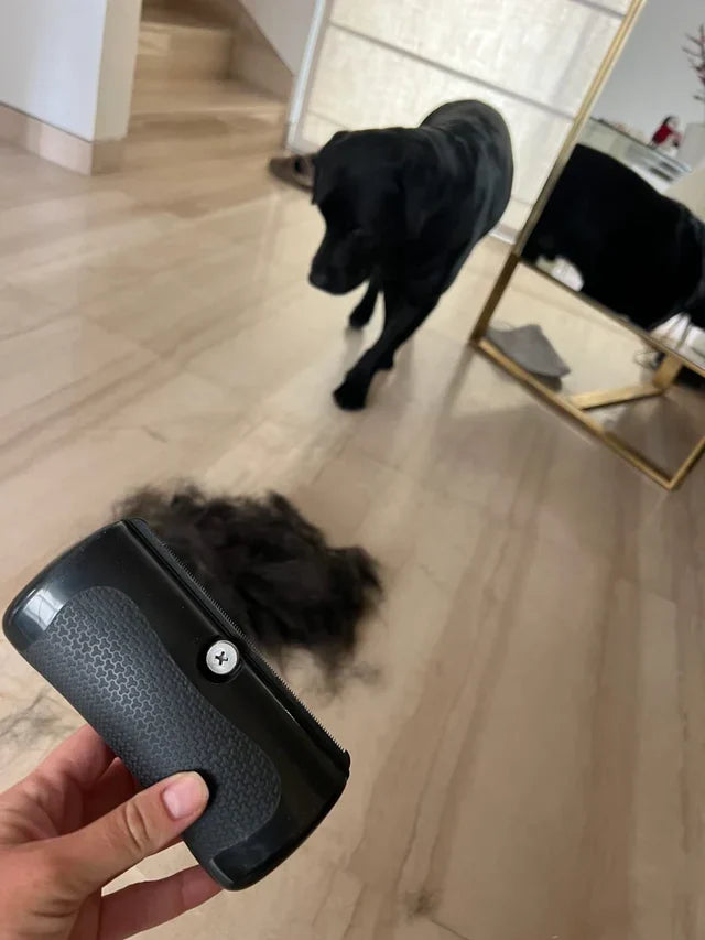 Undercoat Deshedding Brush for Dogs and Cats – Efficient Fur Removal Tool