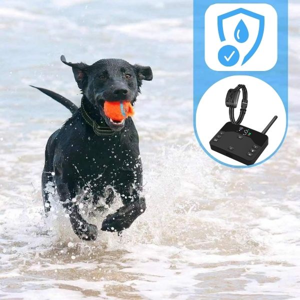 PawGuard Boundary Pro 2-in-1 Wireless Dog Containment System — Fence And Training Collar