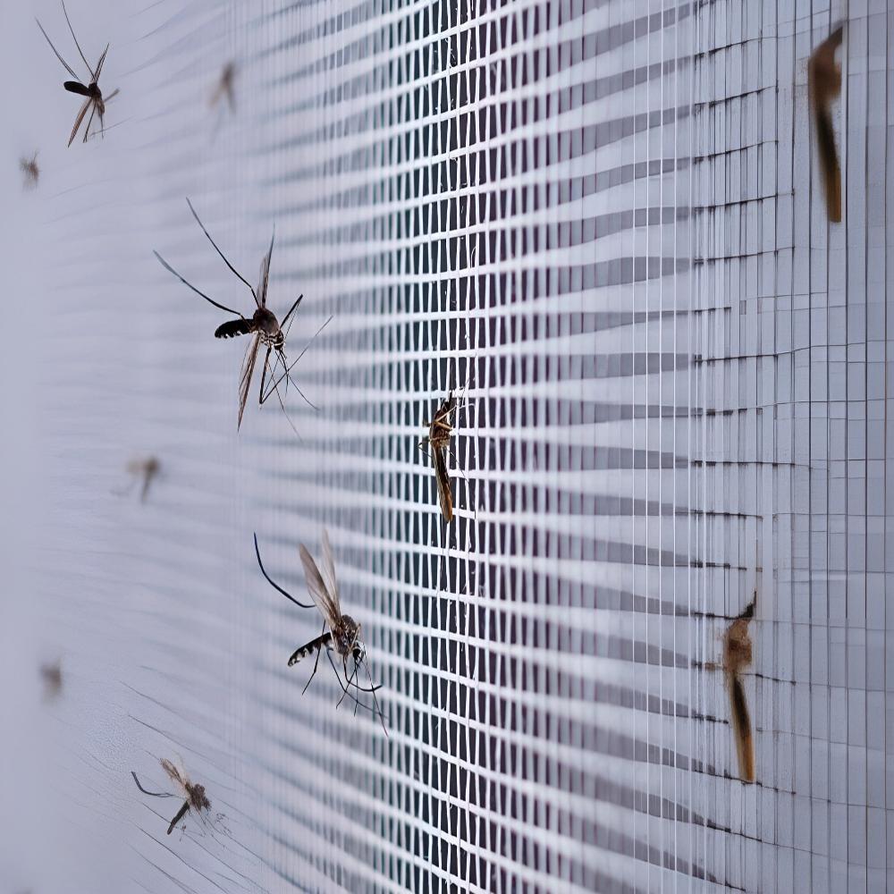 Magnetic Shield Window Net — Easy Install Insect Barrier