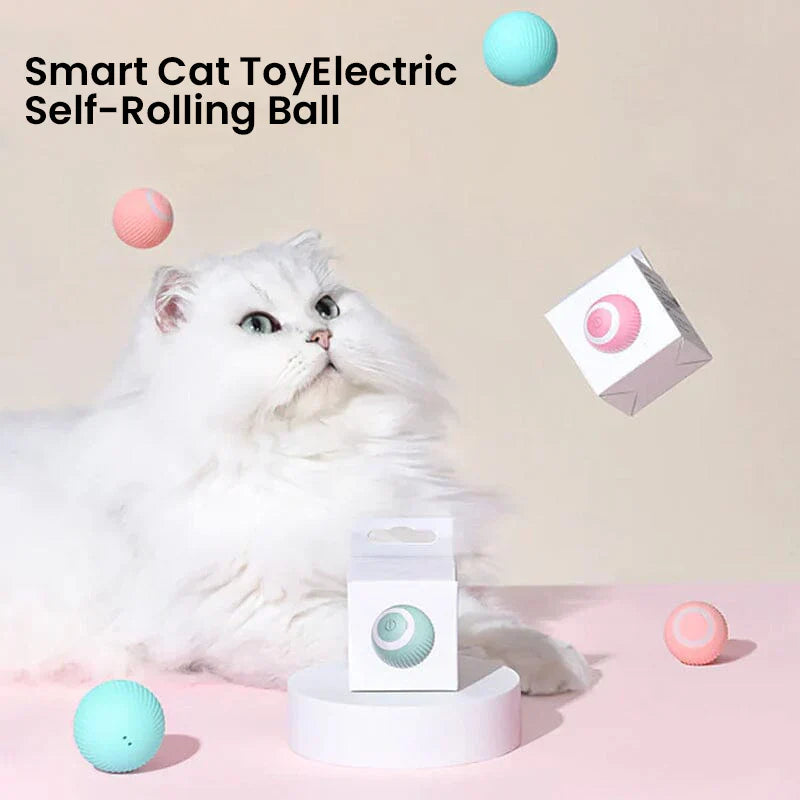 2 in 1 Simulated Interactive Hunting Cat Toy | Filindra