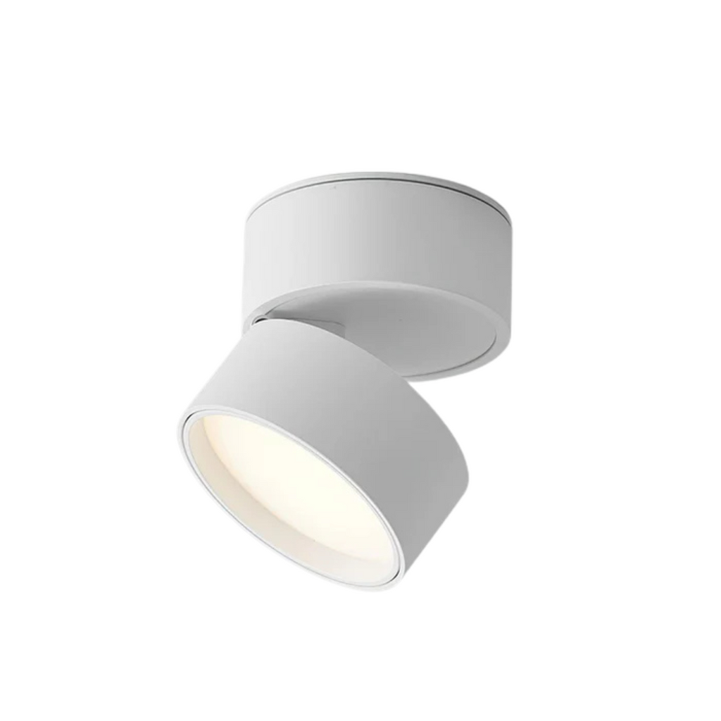 Aurelo Decken-LED-Leuchte mit verstellbarem drehbarem Kopf für Wohnzimmer und Flure
