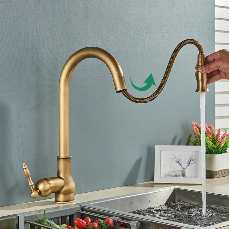 AstraNova Swivel Spout Faucet — Antique Brass Finish, Black Accent