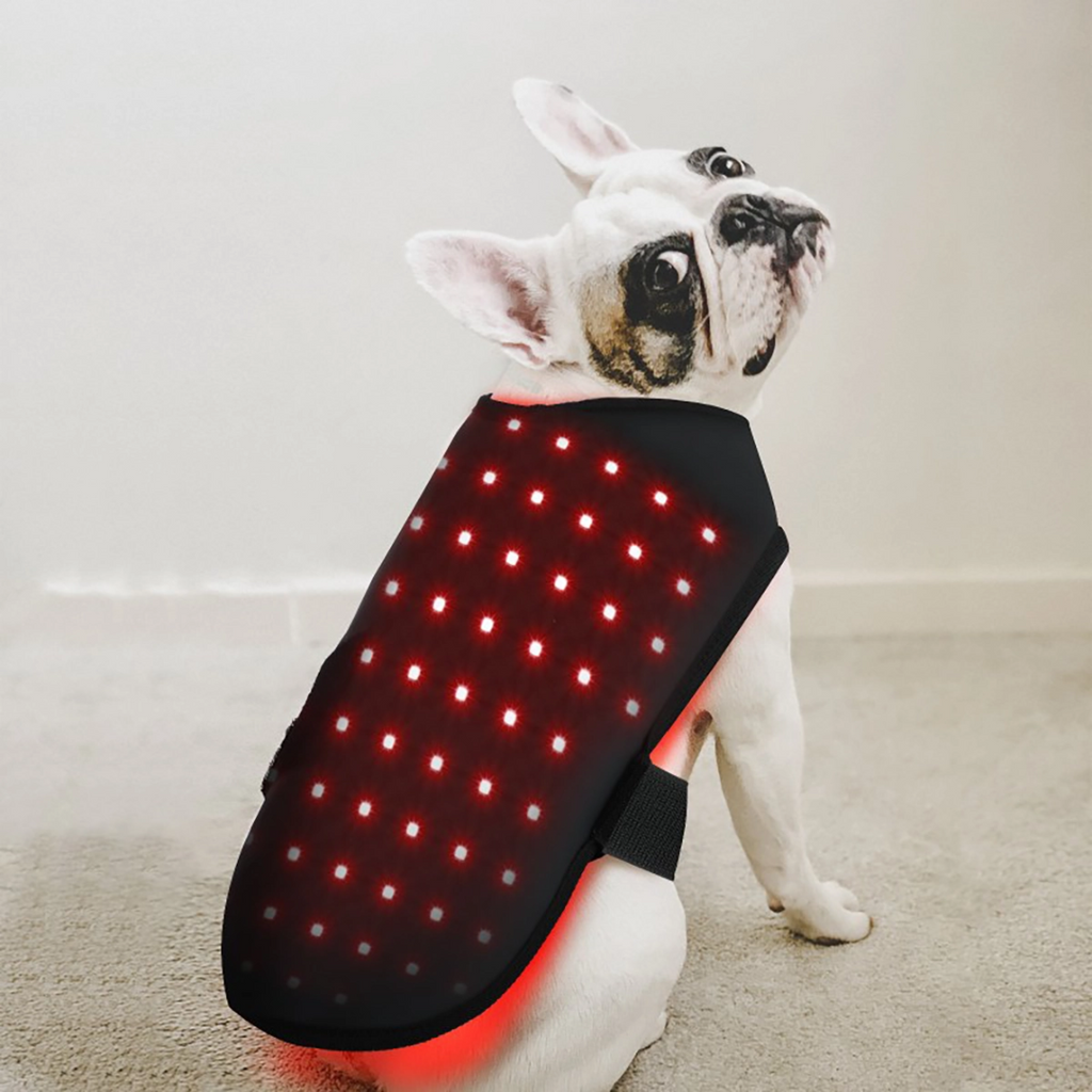 Cappotto terapeutico a luce infrarossa per animali — gilet rosso cicatrizzante per cani e gatti, vestibilità confortevole e avvolgente