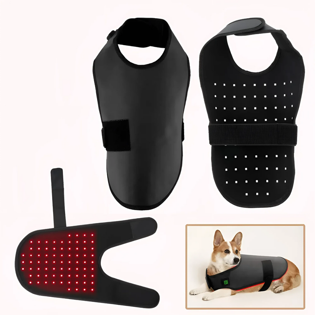 Cappotto terapeutico a luce infrarossa per animali — gilet rosso cicatrizzante per cani e gatti, vestibilità confortevole e avvolgente