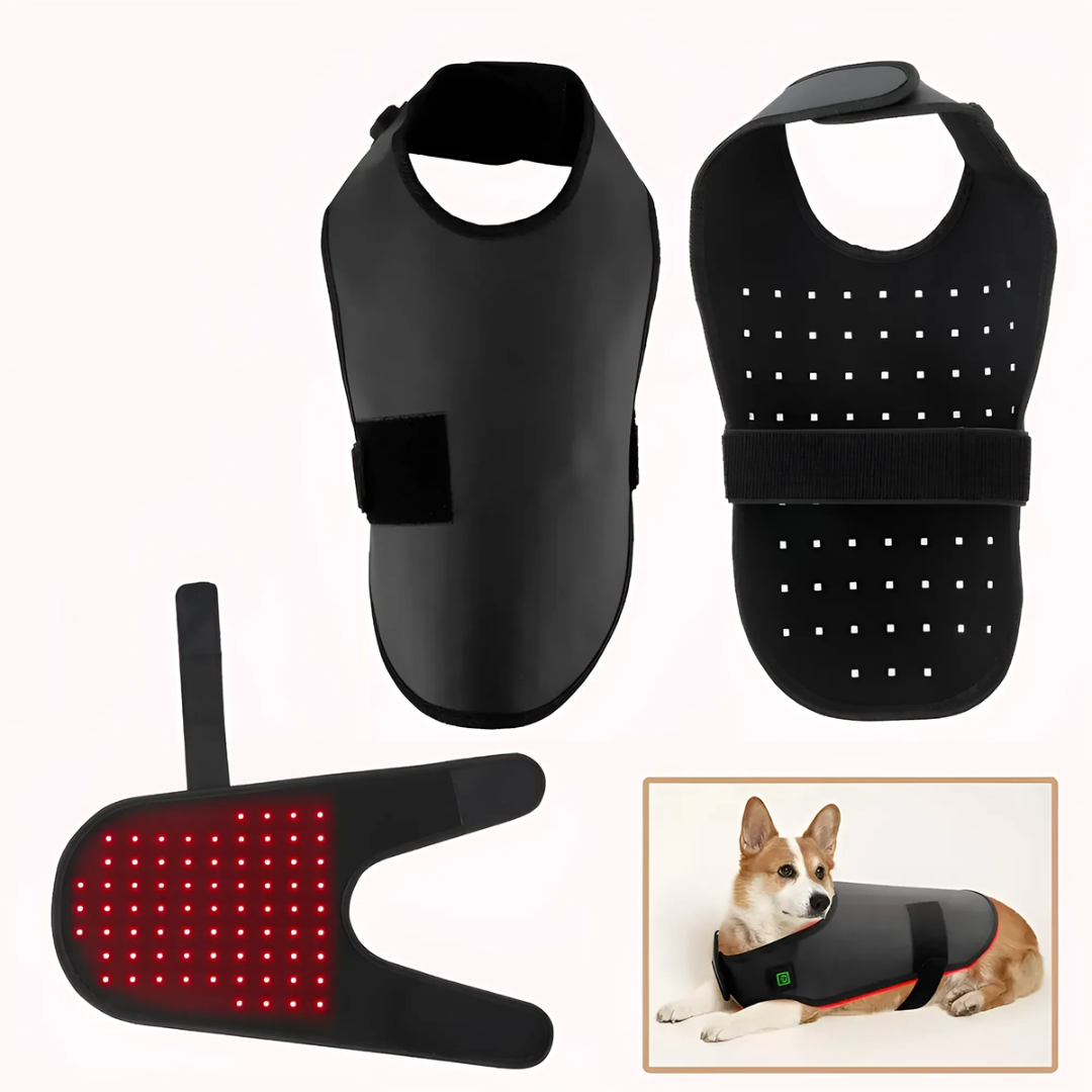 Cappotto terapeutico a luce infrarossa per animali — gilet rosso cicatrizzante per cani e gatti, vestibilità confortevole e avvolgente