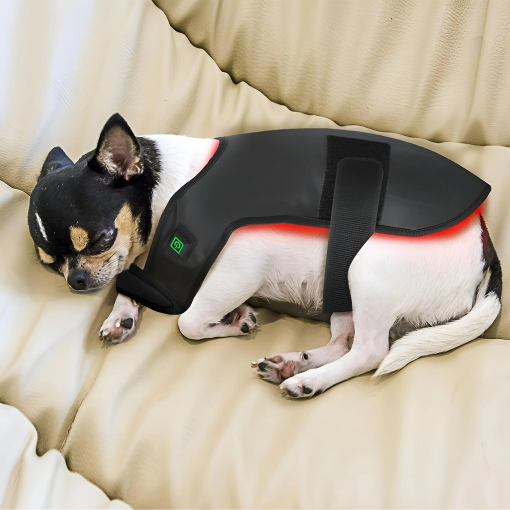 Cappotto terapeutico a luce infrarossa per animali — gilet rosso cicatrizzante per cani e gatti, vestibilità confortevole e avvolgente