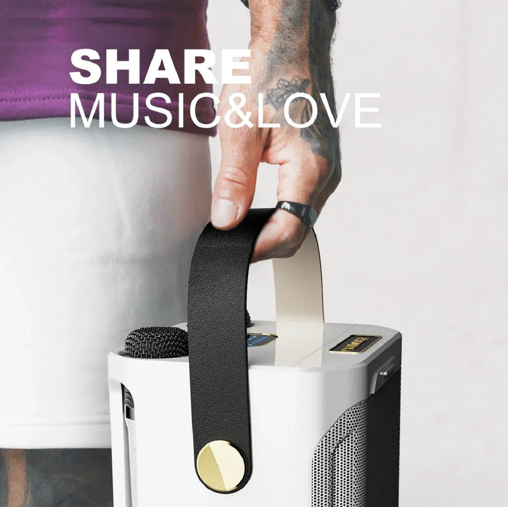 Enceinte karaoké Bluetooth portable rechargeable — Son riche