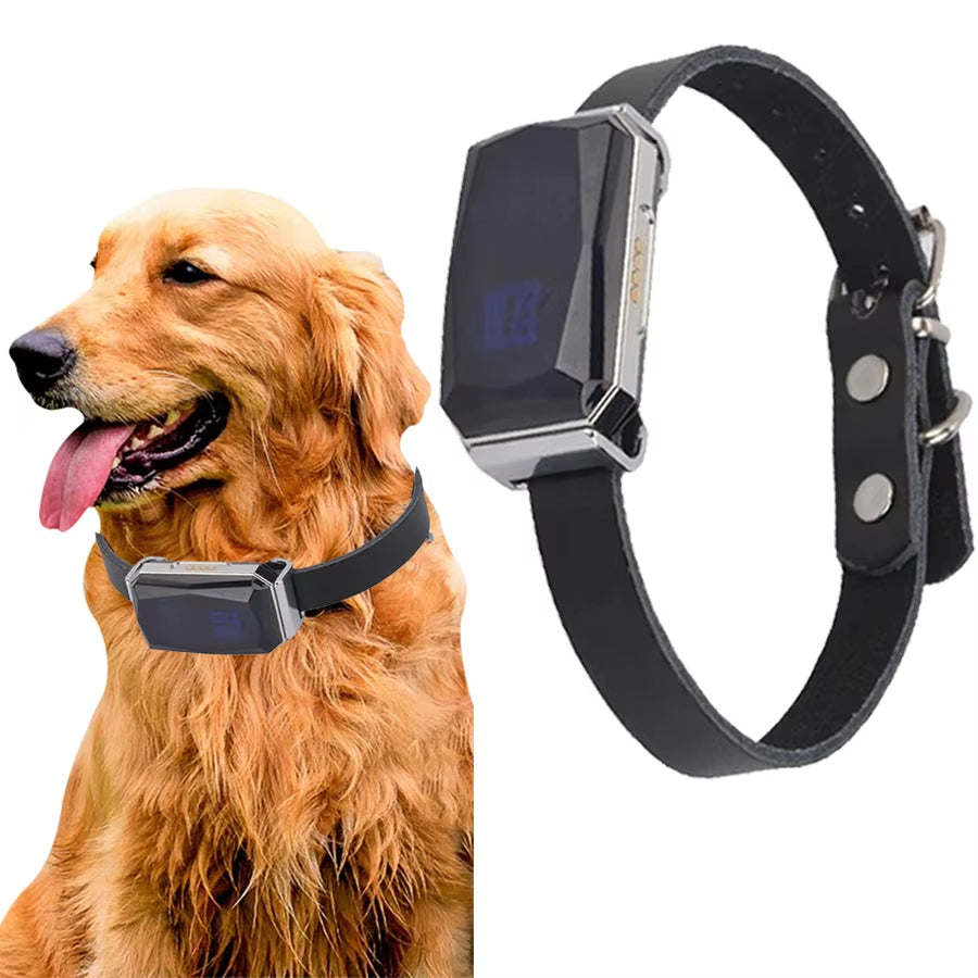GPS-Halsband-Tracker für Haustiere — Schnelle Einrichtung, sicherer und bequemer Sitz
