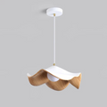 Liora Pendant Light Dining Plus Living Rooms Home Decor Fixture