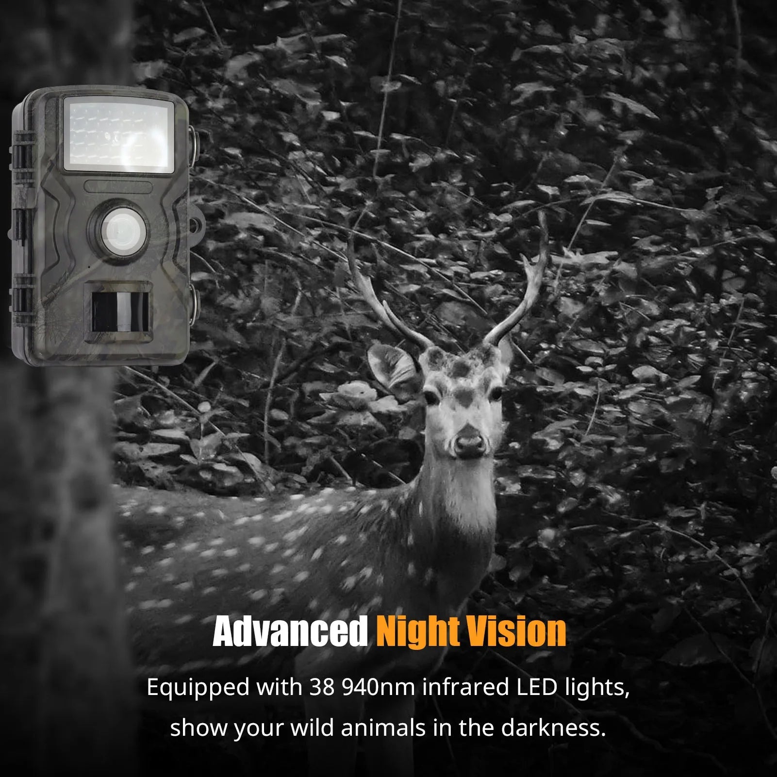 1080P Night Vision Trail Camera | Filindra