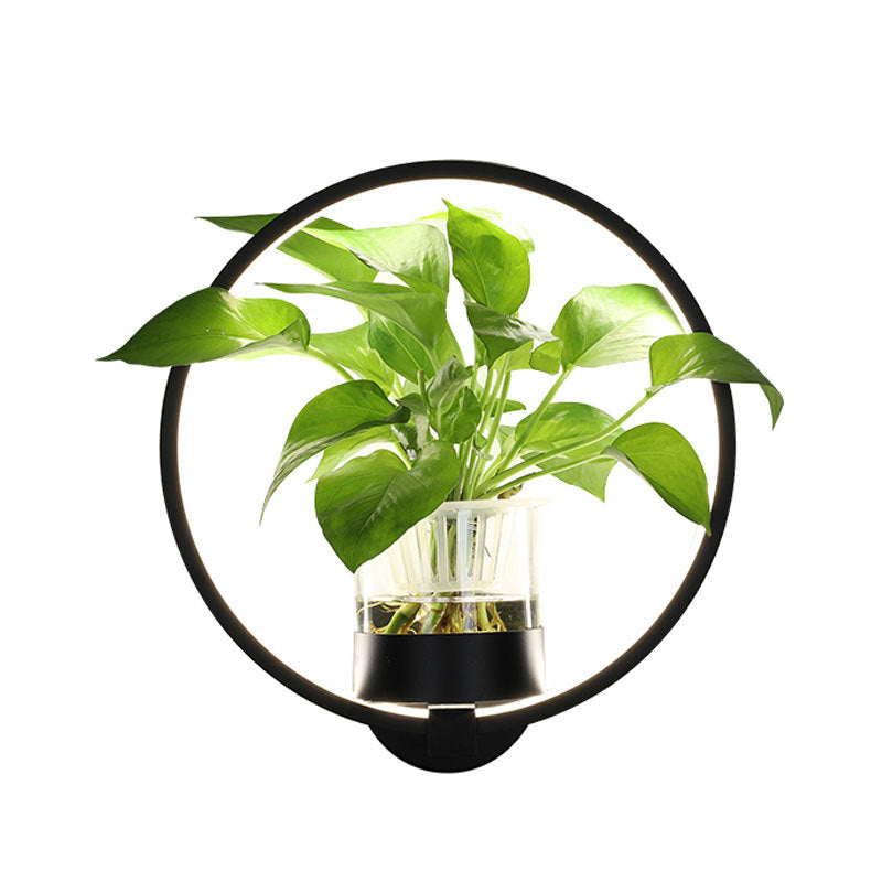 VerdantGlow Wall Light Planter Glass Plant Vessel Gallery Decor