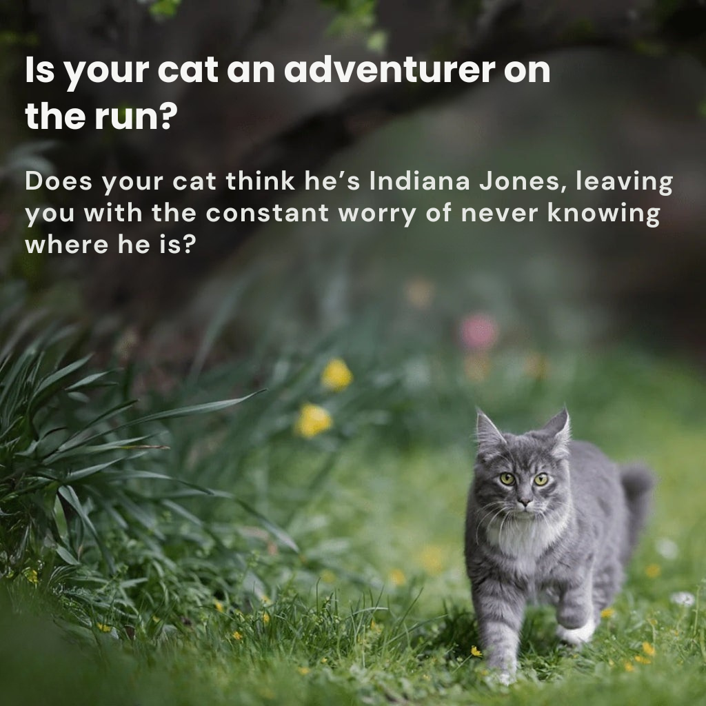 PawTrail GPS per gatti — Leggero, impermeabile, localizzazione in tempo reale