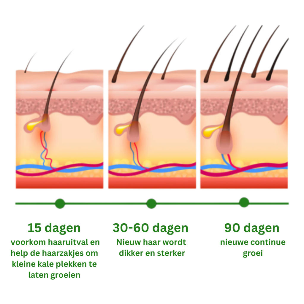 Rosmarin-Haaröl für Haarwachstum — erfrischende Kopfhautpflege