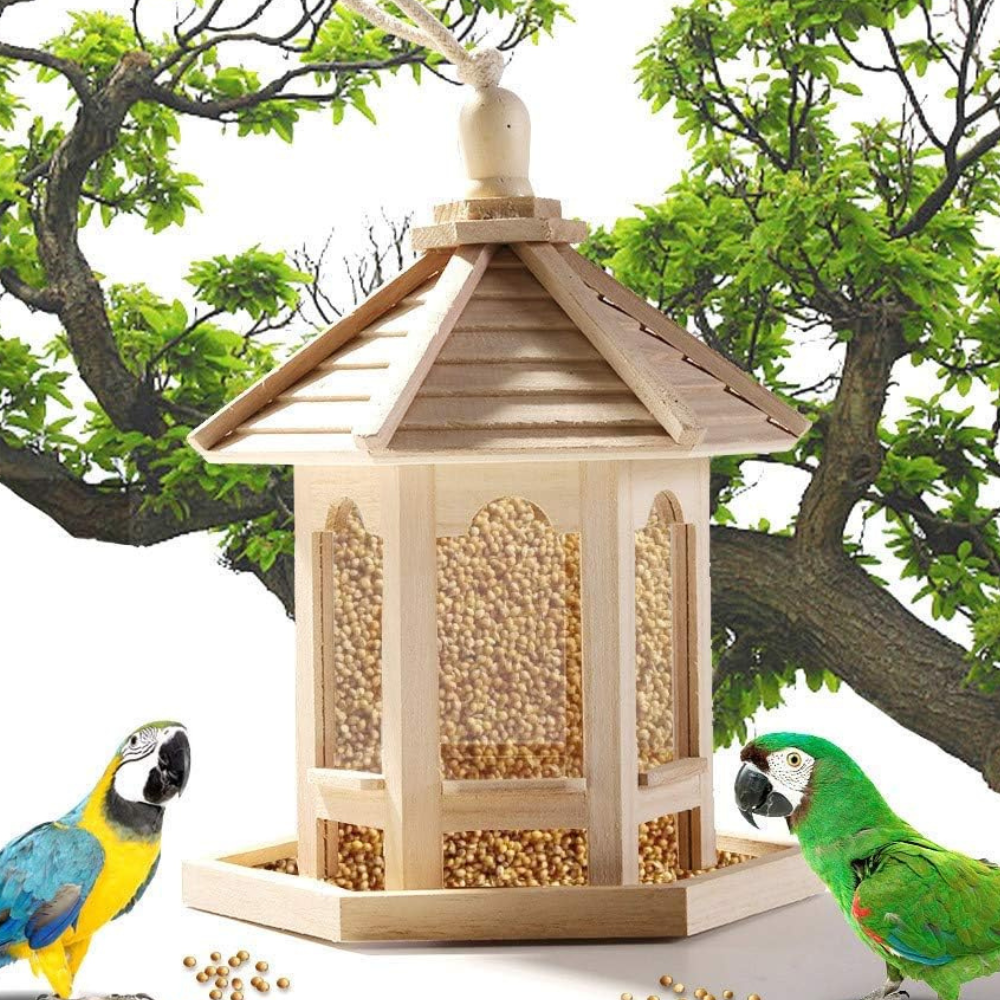 Wooden Transparent Household Bird Feeder | Filindra