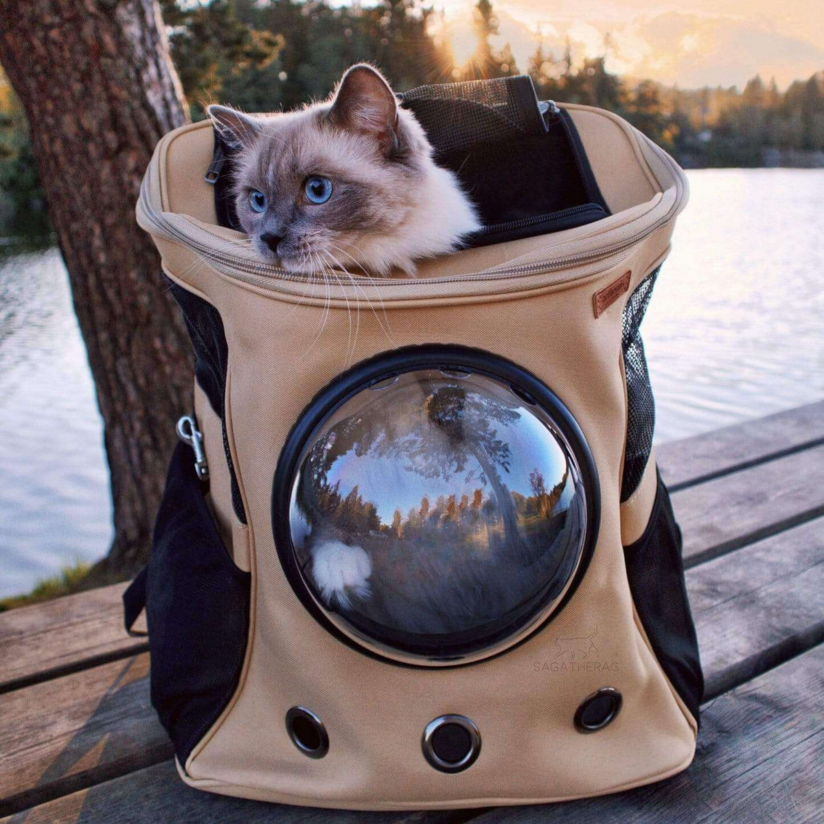 Mochila grande de transporte para gatos — janela bolha, design ventilado