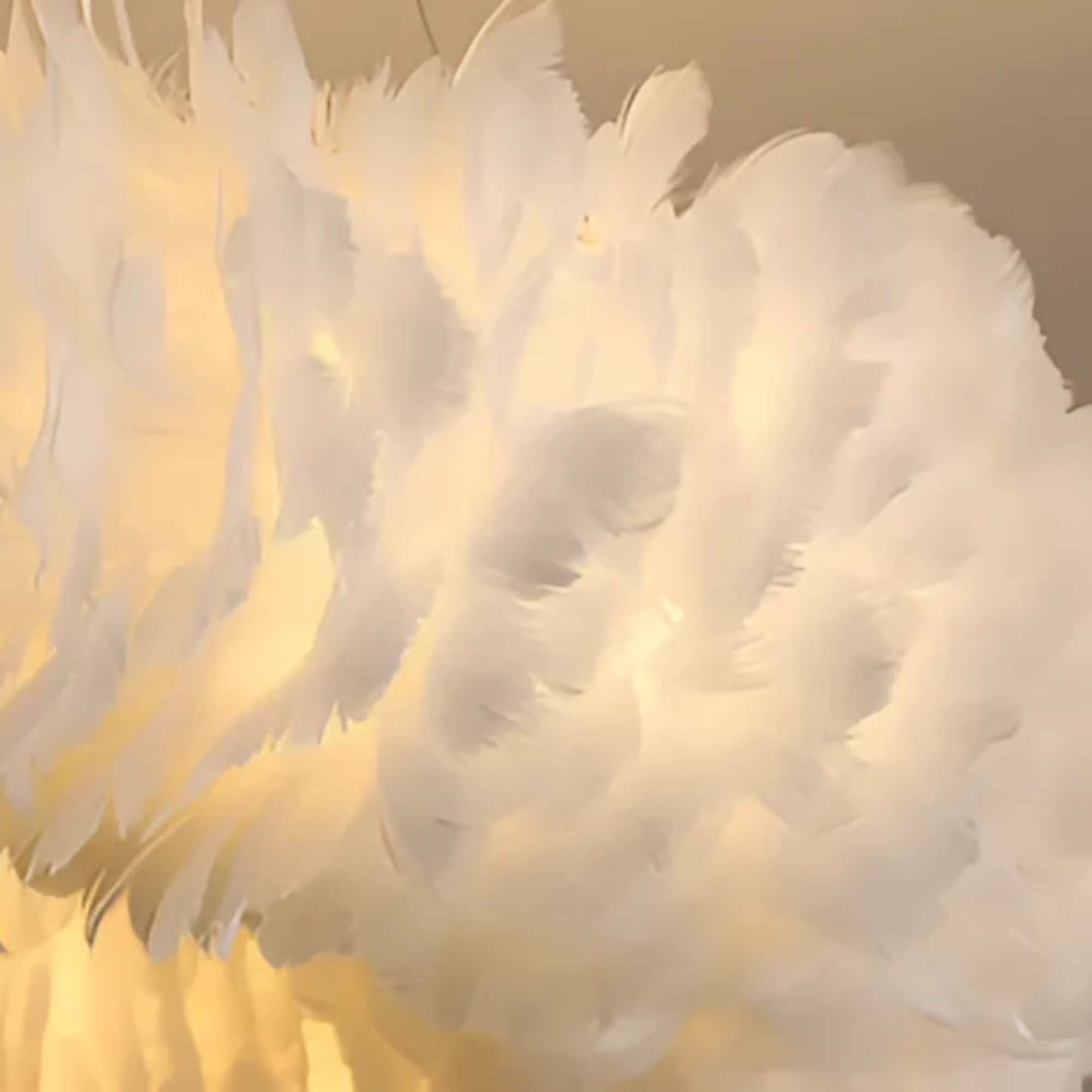 Aurelia White Circular Feathered Pendant Light With Diffused Glow