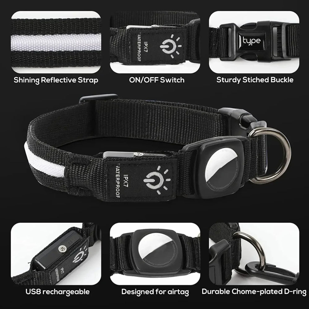 Collier pour chien LumaPaw à LED, étanche, avec logement pour traceur