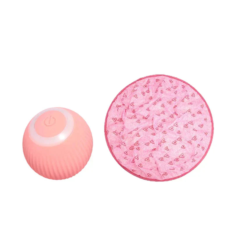 2 in 1 Simulated Interactive Hunting Cat Toy | Filindra