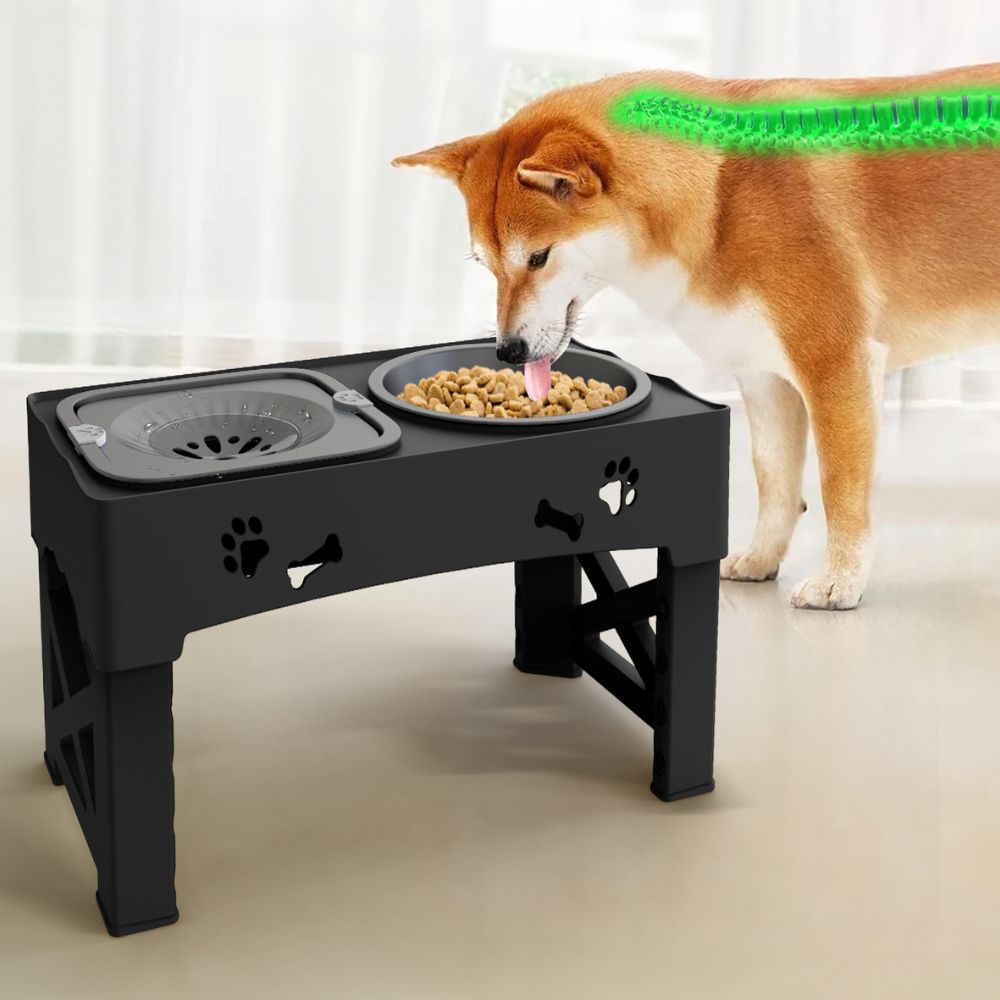 高さ調整可能なペット・犬用早食い防止ボウル | フィリンドラ