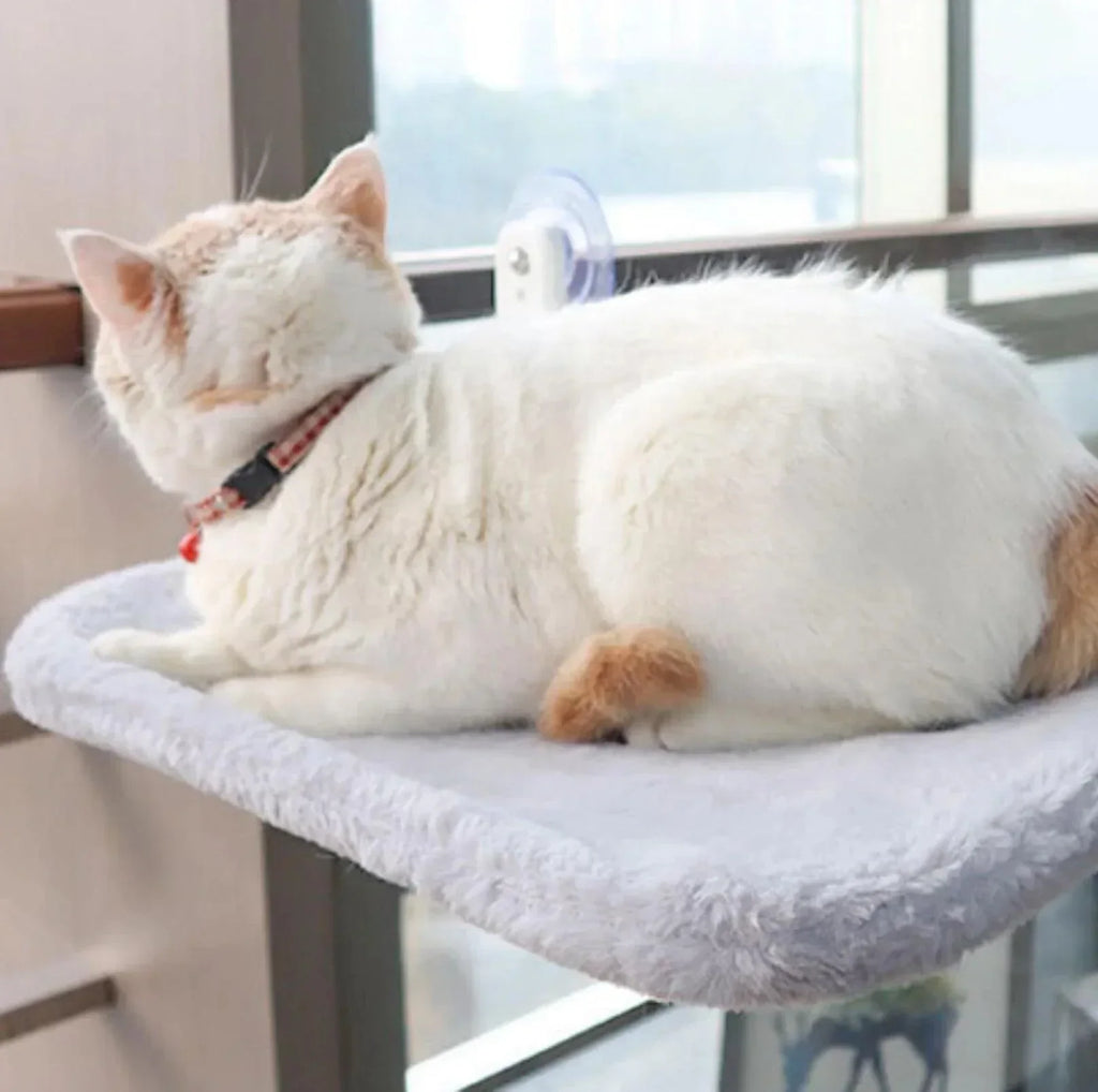 Rede confortável para gatos — cama-prateleira para banhos de sol a 360°