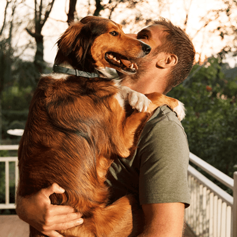 Obojek pro psy PawSafeGuard proti blechám a klíšťatům bez škodlivých účinků