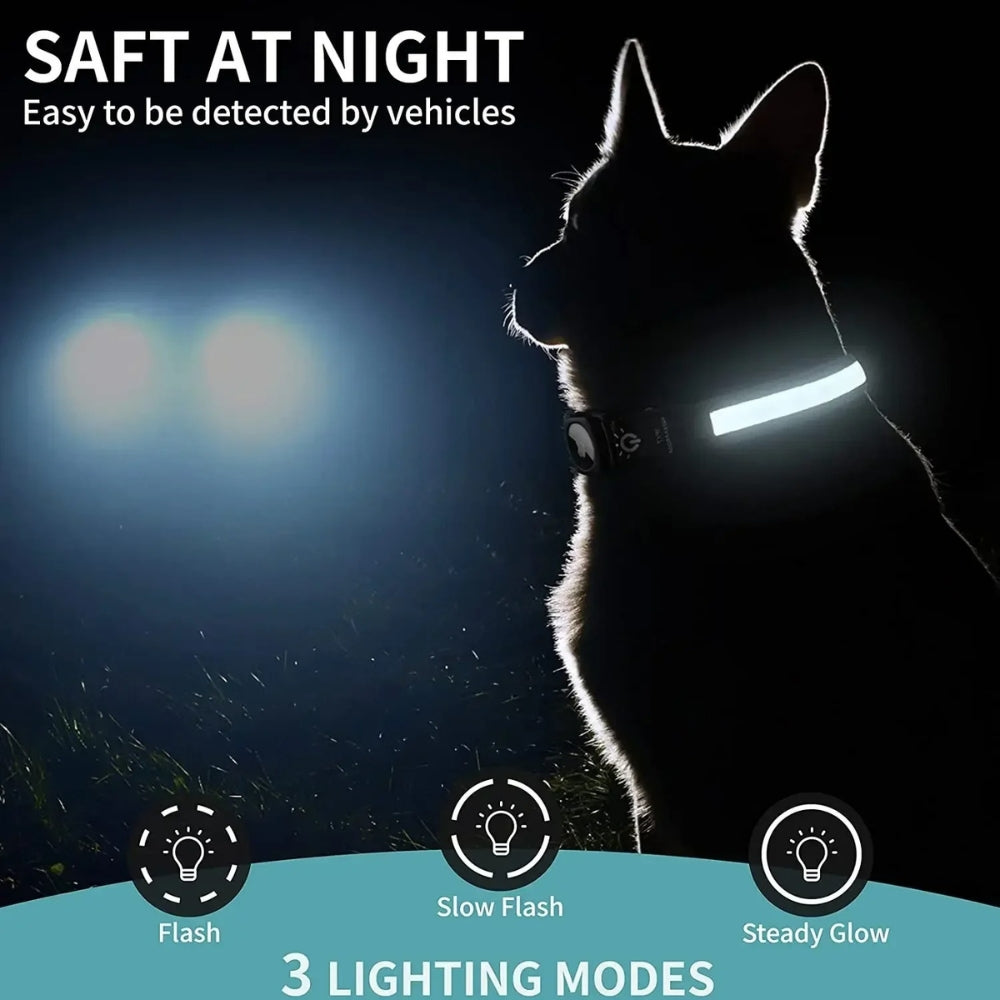 Collier pour chien LumaPaw à LED, étanche, avec logement pour traceur