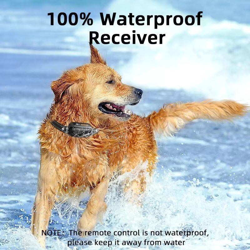 Afstandsbediende trainingshalsband voor honden — 3 veilige standen, 1000M, waterdicht