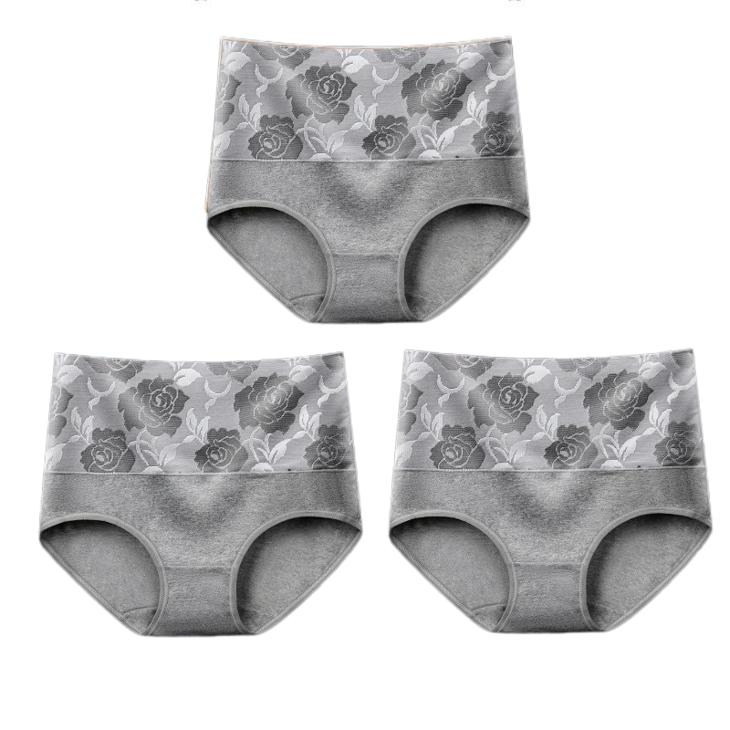 High-Waisted Leakproof Panties — Tummy Control Underwear