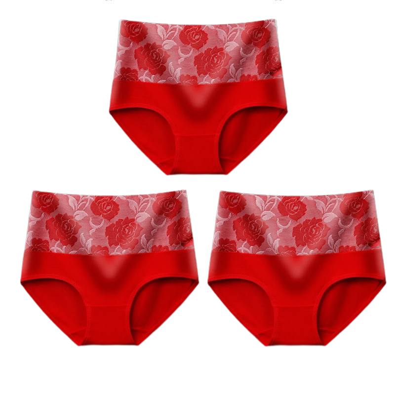 High-Waisted Leakproof Panties — Tummy Control Underwear