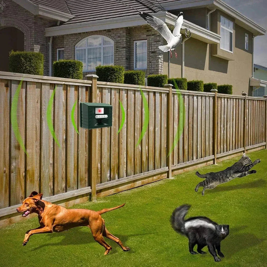 Woodpecker Ultrasonic Repeller for Effective Bird Control - Get Rid of Woodpeckers | Filindra
