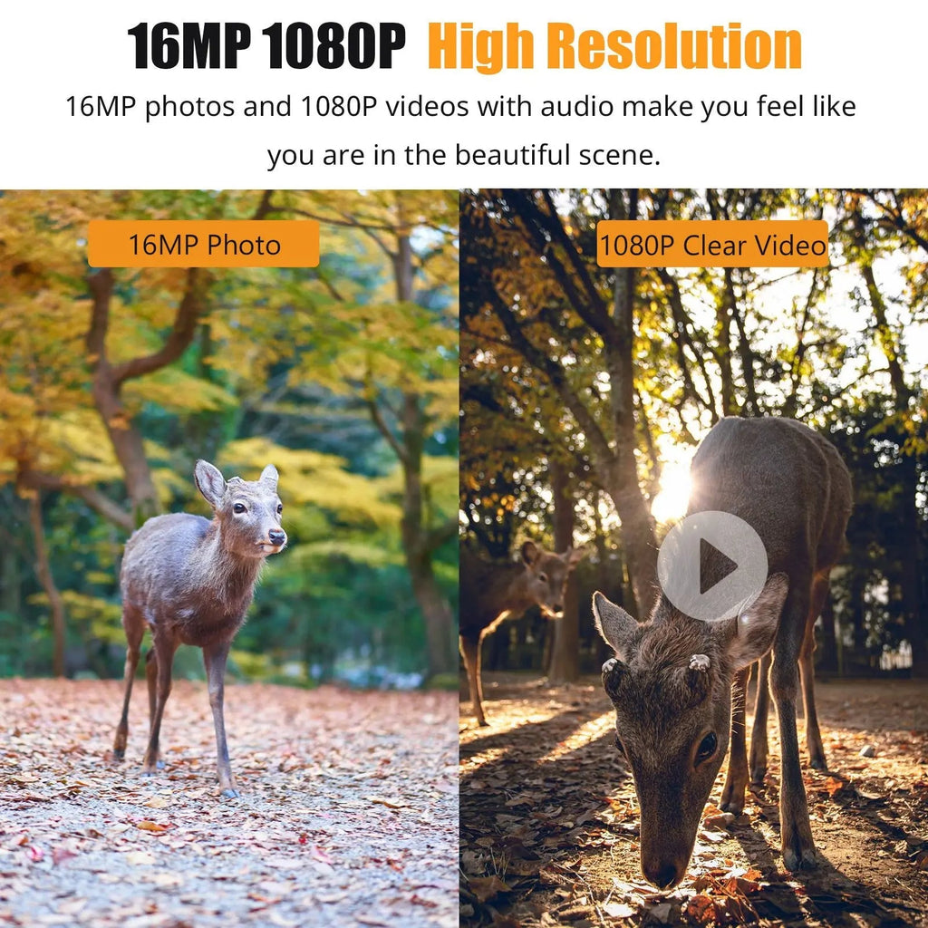 1080P Night Vision Trail Camera | Filindra