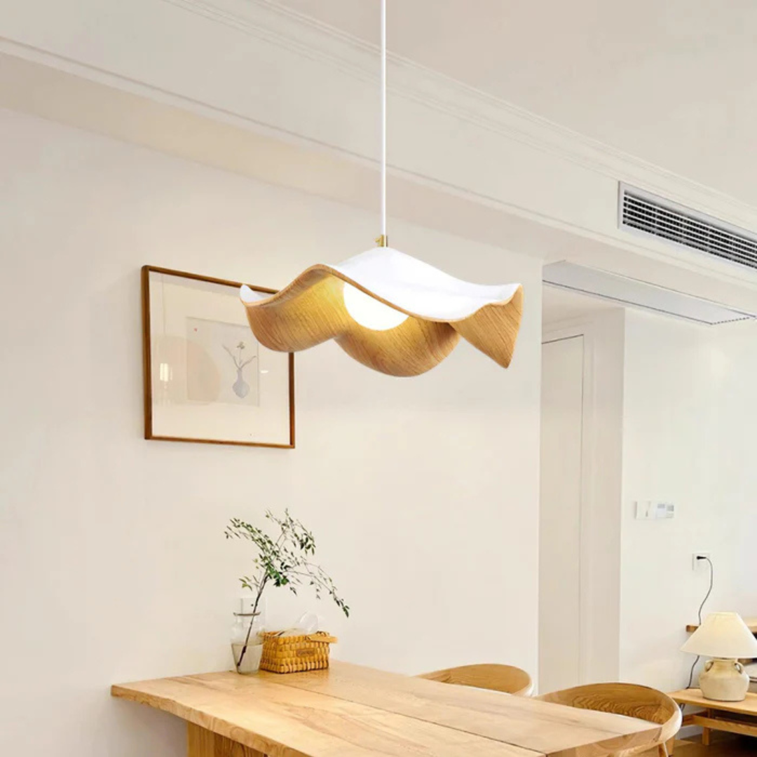 Liora Pendant Light Dining Plus Living Rooms Home Decor Fixture
