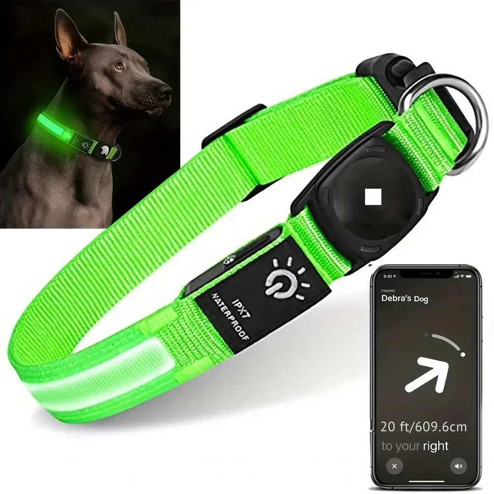 Collier pour chien LumaPaw à LED, étanche, avec logement pour traceur